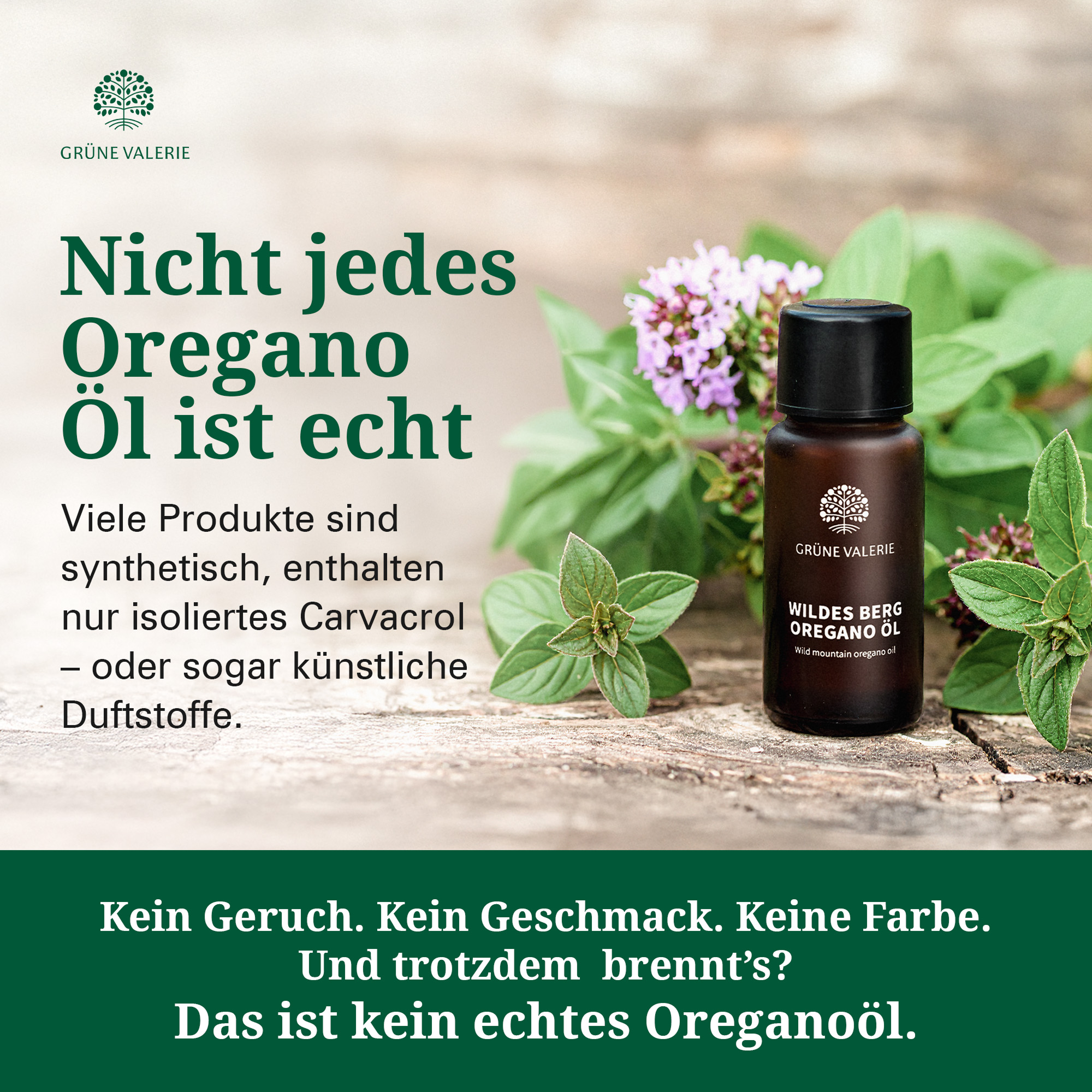 Wildes Berg Oregano Öl Set 2 x 10 ml