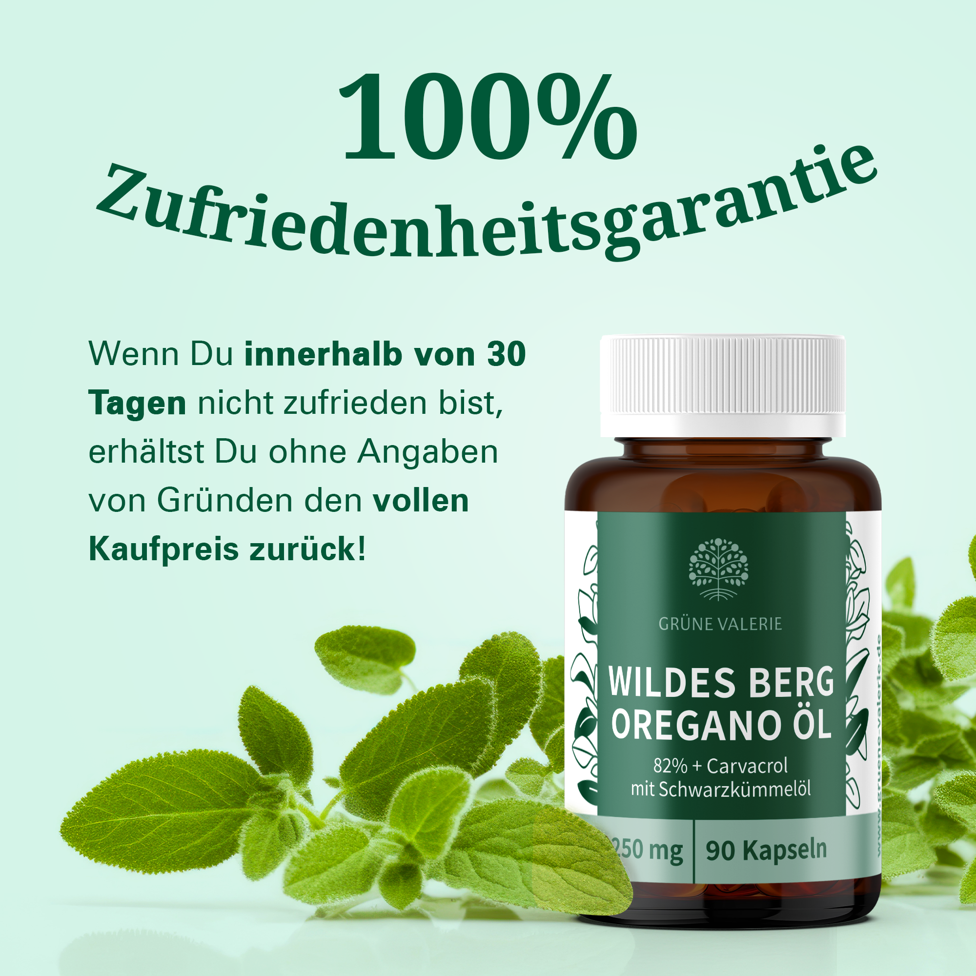 Bio Oregano Öl Kapseln